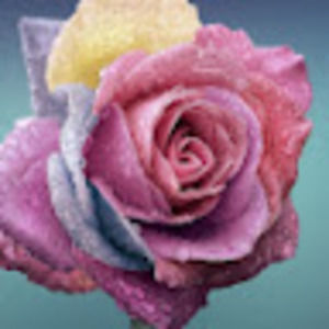 Meet your Posher, Raelynn